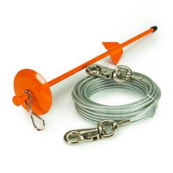 Leash stake hot sale for dog