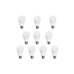 100-Watt Equivalent A19 Daylight LED Light Bulb - 10 Pack at Menards®