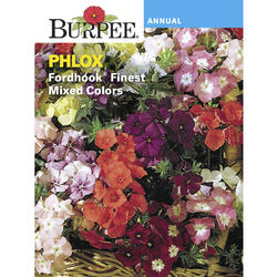 Burpee® Fordhook® Finest Phlox Flower Seeds at Menards®