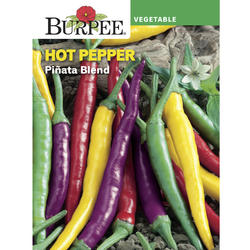 Burpee® Pinata Blend Hot Pepper Vegetable Seeds at Menards®