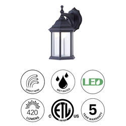 Patriot Lighting® Alexia Black LED Outdoor Wall Light at Menards®