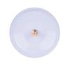 Patriot Lighting® All-Weather/Barn 1-Light Metal Retrofit Ceiling Outdoor Light