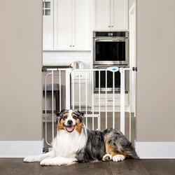 Menards 2024 pet gates