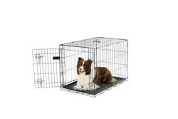 Carlson secure and compact single door metal dog crate best sale