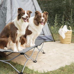 Carlson Large Tan Portable Pup Pet Bed at Menards