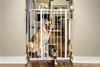 Carlson™ 41" x 29"-40" Extra-Tall Pet Gate