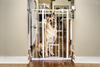 Carlson™ 41" x 29"-40" Extra-Tall Pet Gate