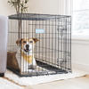 Carlson™ Intermediate Dog Crate