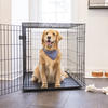 Carlson™ Large Dog Crate