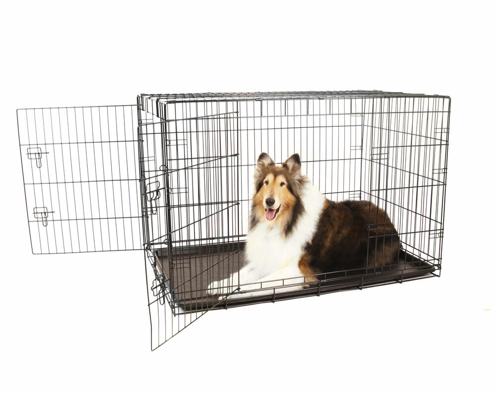 Carlson Extra Large Double Door Dog Crate