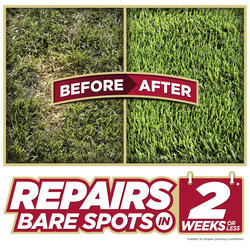 Pennington One Step Complete Sun Shade Bare Spot Repair Mix