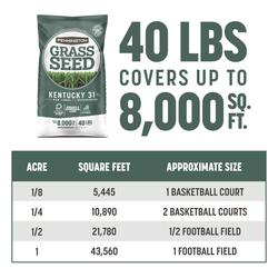 Pennington® Kentucky 31 Grass Seed - 40 lbs. at Menards®