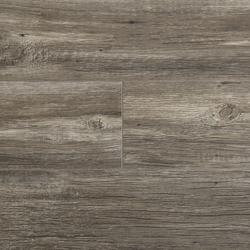 SuperFast® Eagle Lake Valley Oak 7.5