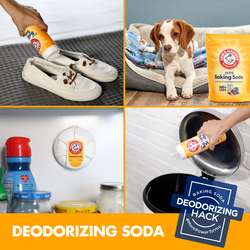 Arm & Hammer™ Fridge Fresh™ Air Filter & Freshener at Menards®