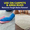 OxiClean™ Carpet & Area Rug Stain Remover - 24 oz.