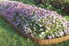 Redy-Edge 36" Wood Landscape Edging