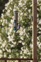 Mounting bracket Bird Feeder Accessories at