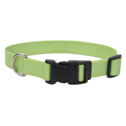 Bark 2024 collar menards