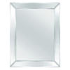 Columbia Frame Tri-Deco 24"W x 36"H Framed Mirror