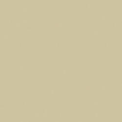 Protex™ 9710 Sand Textured Interior Latex Wall And Ceiling Paint - Conco®  Paints