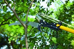 ECOgardener Telescopic Pruning Shears Heavy Duty Long Extendable Tree —  CHIMIYA