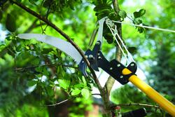 Yardworks® Telescoping Tree Pruner at Menards®