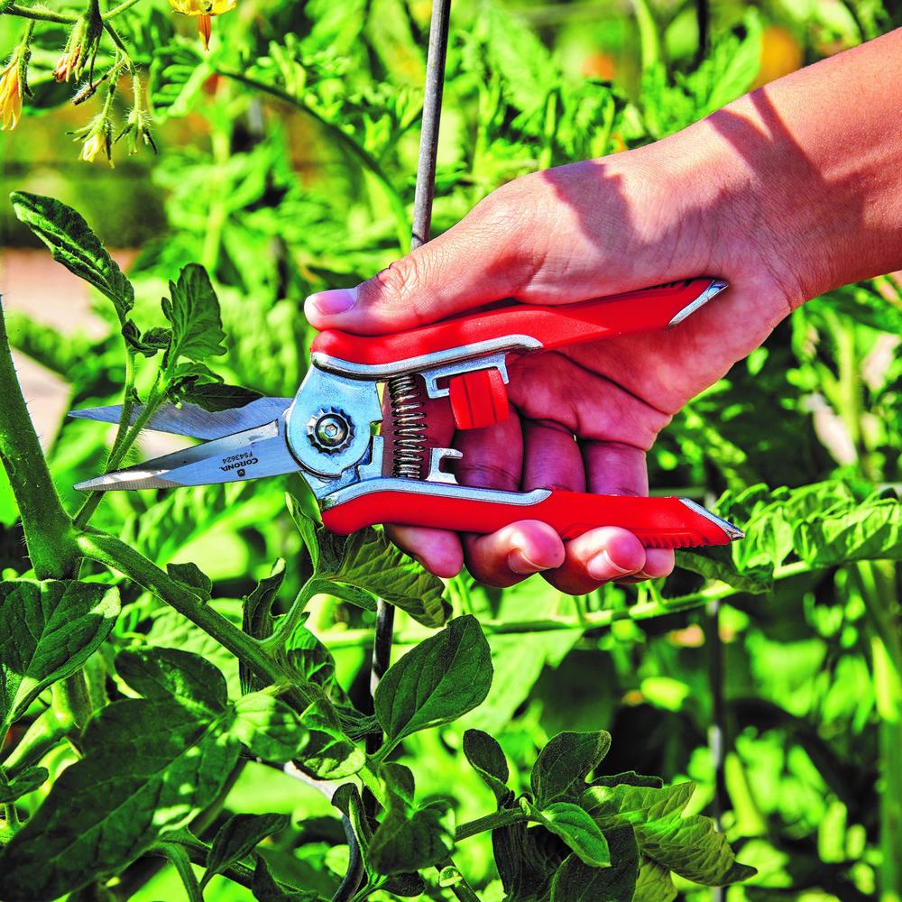 Corona® Mini Floral Snips - Assorted Colors at Menards®