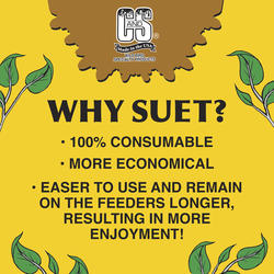 C&S Products® Woodpecker Treat High Energy Bird Suet Plug - 11 oz at