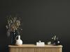 Dakota™ 7-1/4" x 12' Matte Black Prefinished Shiplap Wall Plank