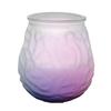 Enchanted Garden® Frosted Resto Citronella Candle Jar with LED