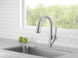 Delta® Classic One-Handle Pull-Down Chrome Kitchen Faucet at Menards®