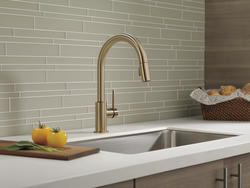 9159TCZDST by Delta Faucet Company - Champagne Bronze Single Handle  Pull-Down Kitchen Faucet with Touch 2 O ® Technology