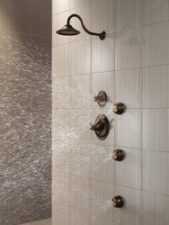 VICTORIAN_CUSTOM_SHOWER_T17T05