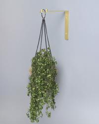 Enchanted Garden™ 8 Black Hanging Plant Utility Wall Hook at Menards®