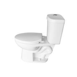 Toilet Buying Guide at Menards®