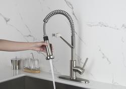 Tuscany® Forden® One-Handle Coil Stainless Steel Kitchen Faucet at