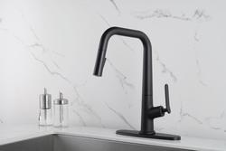 週末特価whatwewant exTENsion no SITA WN 黒レジン Enhanced Zinc Lozenges (Peppermint), 30 vegetarian lozenges - Life