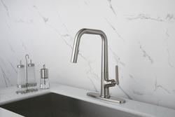 Tuscany® Chevek One-Handle Pull-Down Stainless Kitchen Faucet at