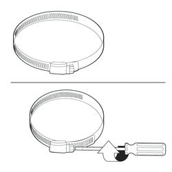 Dundas Jafine 4 Metal Worm Gear Clamp at Menards®