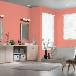 Dutch Boy® Dura Clean® Interior Eggshell Carmela Coral Paint + Primer - 1  qt. at Menards®