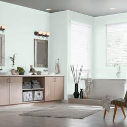 Dutch Boy® Platinum® Plus Interior Satin Aquarius Green 100& Acrylic ...