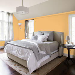 Dutch Boy® Forever™ Interior Eggshell Peachy Ponderosa Paint+