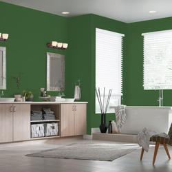 Dutch Boy® Dura Clean® Interior Semi-Gloss Zucchini Green Paint +