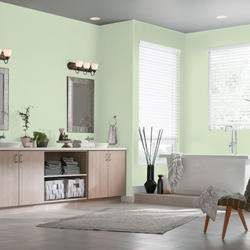 Dutch Boy® Forever™ Interior Semi-Gloss Zippy Green Paint + Primer