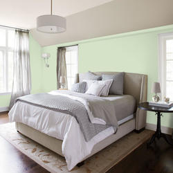 Dutch Boy® Forever™ Interior Semi-Gloss Zippy Green Paint + Primer