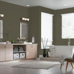 Dutch Boy® Dura Clean® Interior Semi-Gloss Gunmetal Green Paint +