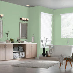Dutch Boy® Dura Clean® Interior Semi-Gloss Chopped Mint Paint +