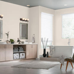 Dutch Boy® Platinum® Plus Interior Satin Almond Milk 100& Acrylic Paint ...