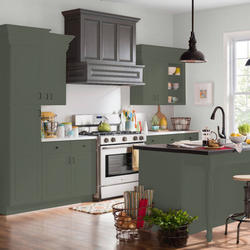 Dutch Boy® Platinum® Plus Cabinet, Door & Trim Interior/Exterior