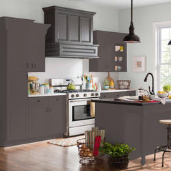 Dutch Boy® Platinum® Plus Cabinet, Door & Trim Interior/Exterior